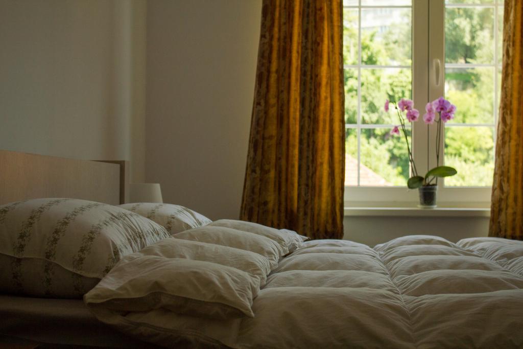 Avram Iancu Private Apartment With Ac Braşov Eksteriør bilde